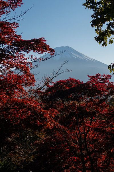 Mount Fuji by Hello Pompoyo