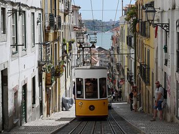 Tram Lisboa