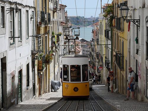 Tram Lisboa