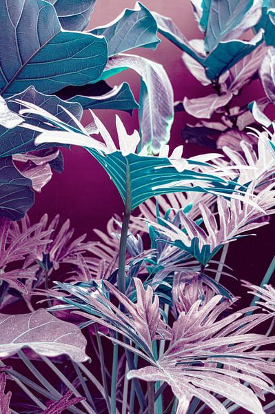 Bladeren in pastelkleuren van Diana Mets