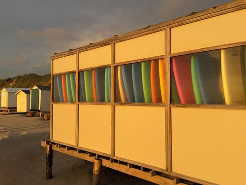 Surfboards at golden hour