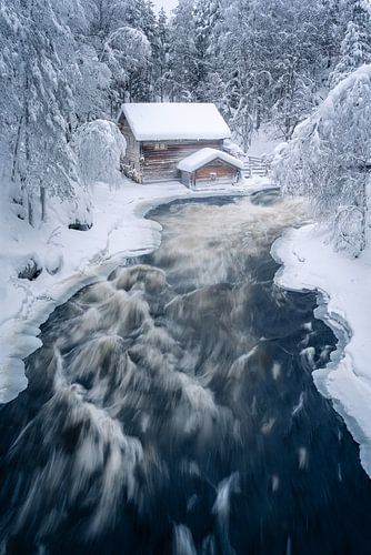 Winter in Oulanka, Finland