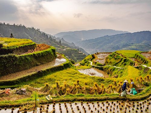 De rijstvelden in Ping'An - China bij zonsondergang