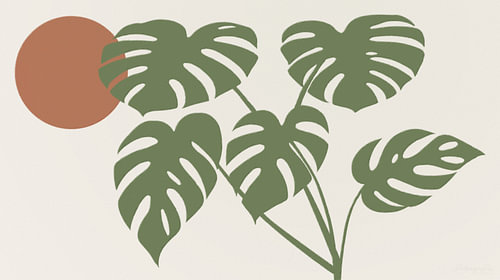 Monstera ' & ' Zon – Zen-rust