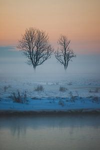 Mistig Nederlands Sneeuwlandschap met Eenzame Bomen van Susanne Ottenheym