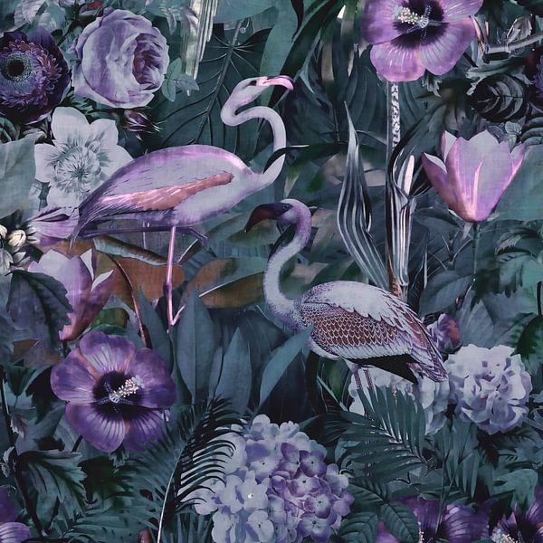 Jungle Night by Andrea Haase