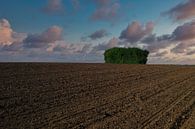 Wandern in der Wetterau von Thomas Riess Miniaturansicht