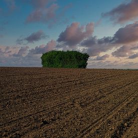 Wandern in der Wetterau von Thomas Riess