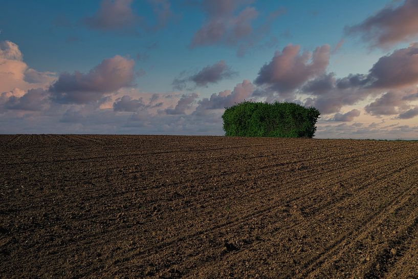 Wandern in der Wetterau von Thomas Riess