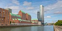 Port de Rotterdam par Henno Drop Aperçu