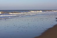 Strand van Ronald Boon thumbnail