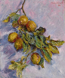 Lemons on a Branch, Claude Monet