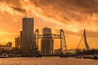 Skyline Rotterdam par AdV Photography Aperçu