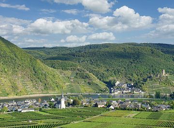 the Mosel valley near Beilstein by Peter Eckert