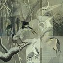 Herons by Nop Briex thumbnail