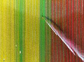 Tulpen op een akker die wordt besproeid met een landbouwsproeier van Sjoerd van der Wal Fotografie thumbnail