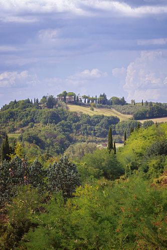 Toscaans landschap bij San Gimignano van Thomas Heitz