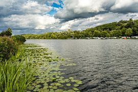 Rivière Ruhr avec nénuphars sur Dieter Walther