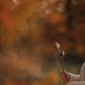 Gedroogde takken papaverbollen in herfst sfeer (1) van Mayra Fotografie