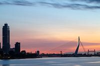 Ligne d'horizon de Rotterdam