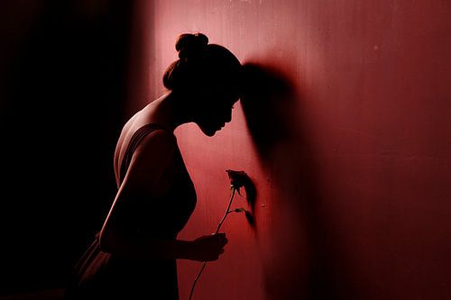 Rose rouge 3 sur Sebastian Kisworo
