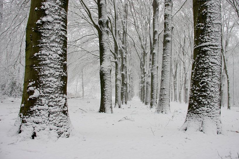 Sneeuwlandschap von Betsie Jansen