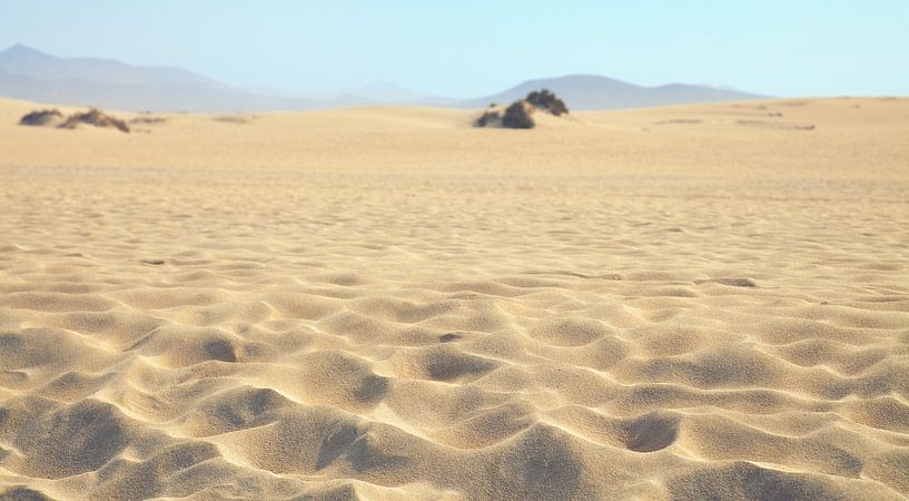 Sable du désert par Bo Valentino