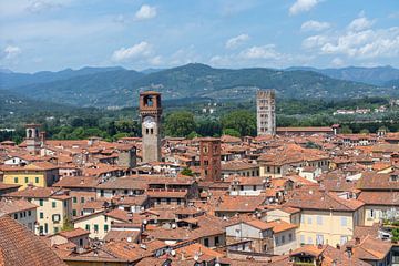 Blick über die Stadt Lucca in Italien, Toskana van Animaflora PicsStock