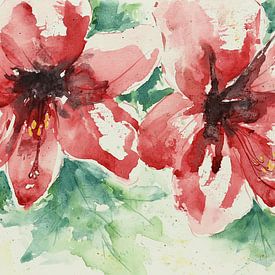 Rote Amaryllis locker mit Aquarellfarbe gemalt (fröhlich sommerlich kühl feminin Wohnzimmer modern) von Natalie Bruns