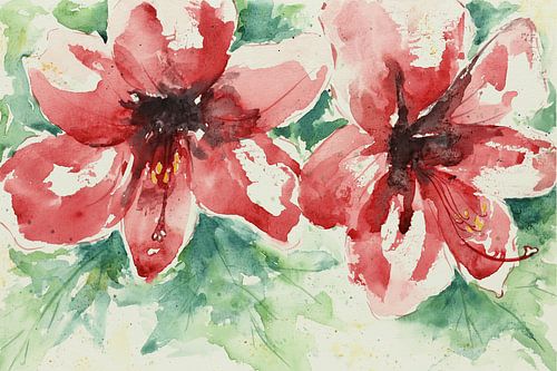 Red amaryllis loosely painted with watercolour (cheerful summer cool feminine living room modern) by Natalie Bruns