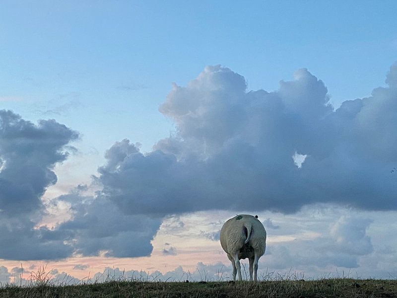 Watching the setting sun by Eva Sacchetto