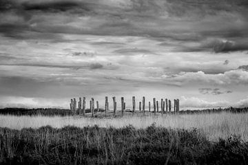 Natuurgebied de Regte Heide van Jeroen van Eijndhoven