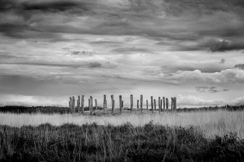 Natuurgebied de Regte Heide van Jeroen van Eijndhoven
