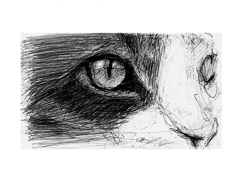 POES