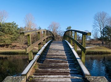 Bevroren houten bruggetje