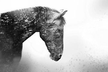 Kiefer Pferd von Kim van Beveren