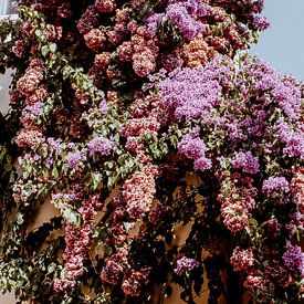 Bunte Blumen mitten im Sommer von Suzanne Fotografie