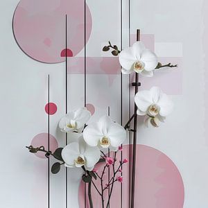 Orchids