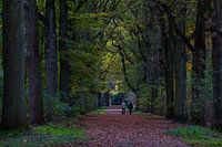 Herfst