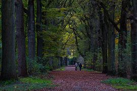 Herfst by Lianne Hermans