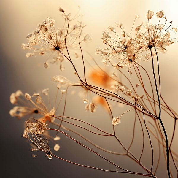 Dried tree seeds as Art of Simplicity in colourful autumn by Karina Brouwer