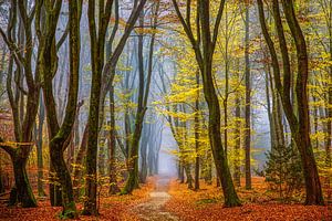 Autumn in the Netherlands