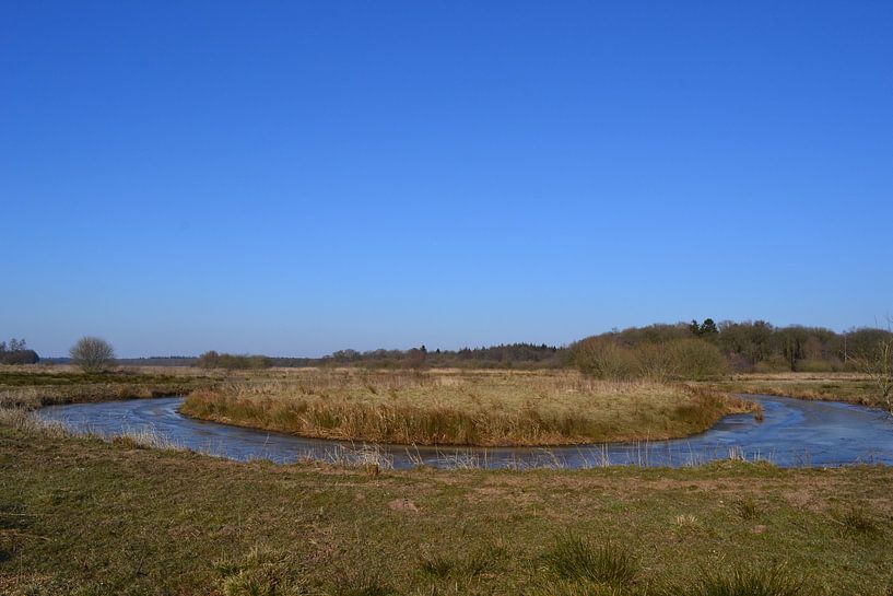 Drentse Aa, the Netherlands by Bernard van Zwol