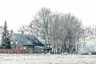 Boerderij tussen Roosendaal en Nispen (Brabant) van Fotografie Jeronimo thumbnail