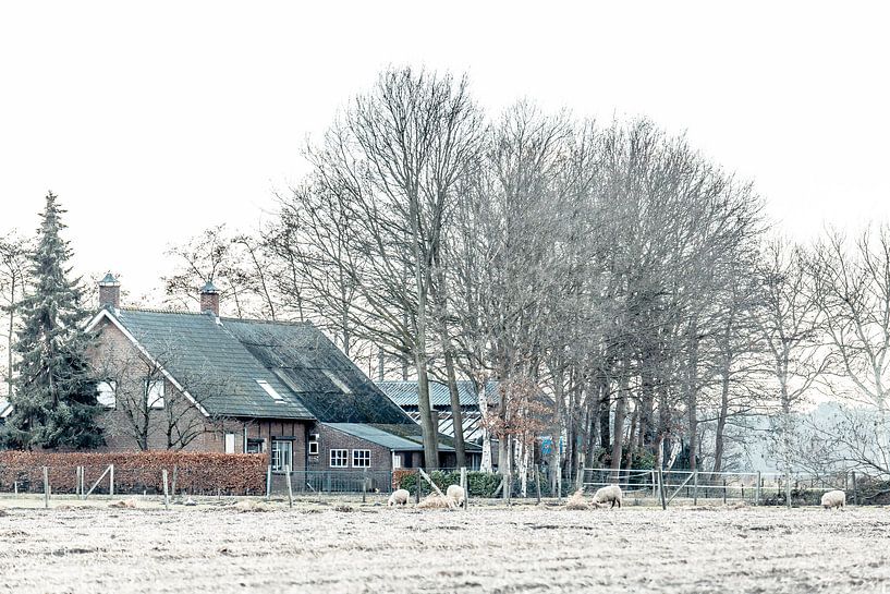 Boerderij tussen Roosendaal en Nispen (Brabant) van Fotografie Jeronimo