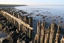 Moddergat, Waddenzee