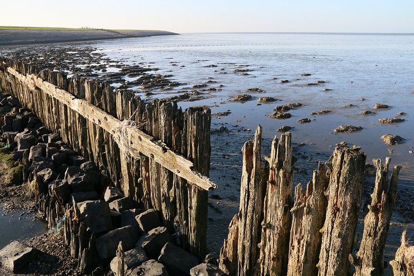 Moddergat, Waddenzee by Taco Ruiten
