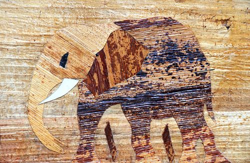 African elephant art