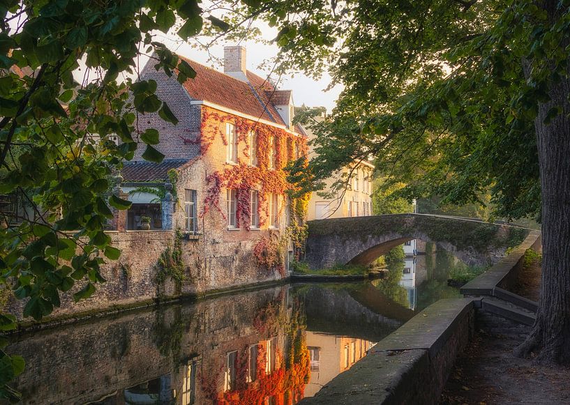 Peerdenbrug Beauty by Loris Photography