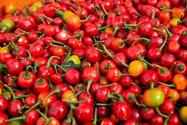 Verse rode pepers von Vera van der Wal